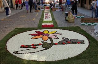 infiorata 2019 47.29