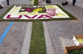 infiorata 2019 46.49