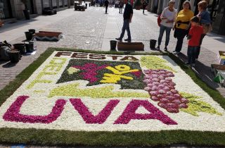 infiorata 2019 45.16