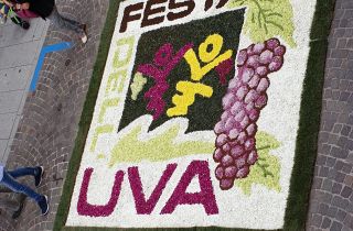 infiorata 2019 52.26