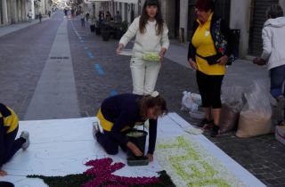 infiorata 2019 44.01