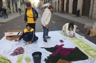 infiorata 2019 43.33